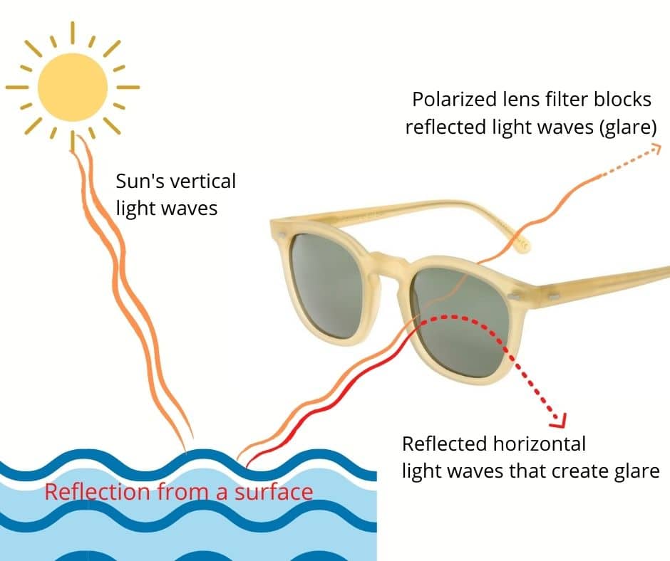 a diagram showing how polarised lenses works
