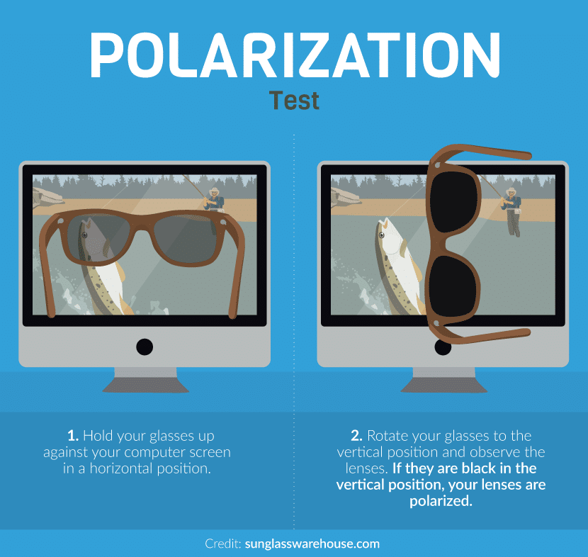an image showing how to test whether the lenses are polarised.
