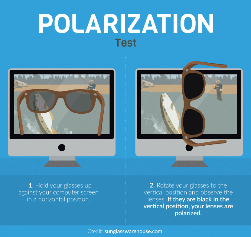 Benefits of Polarized Lenses: Why They're Worth Investing In? - Daniel  Walters Eyewear